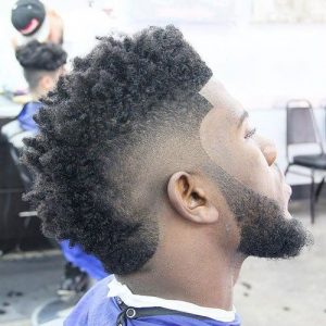 edged up with curly top